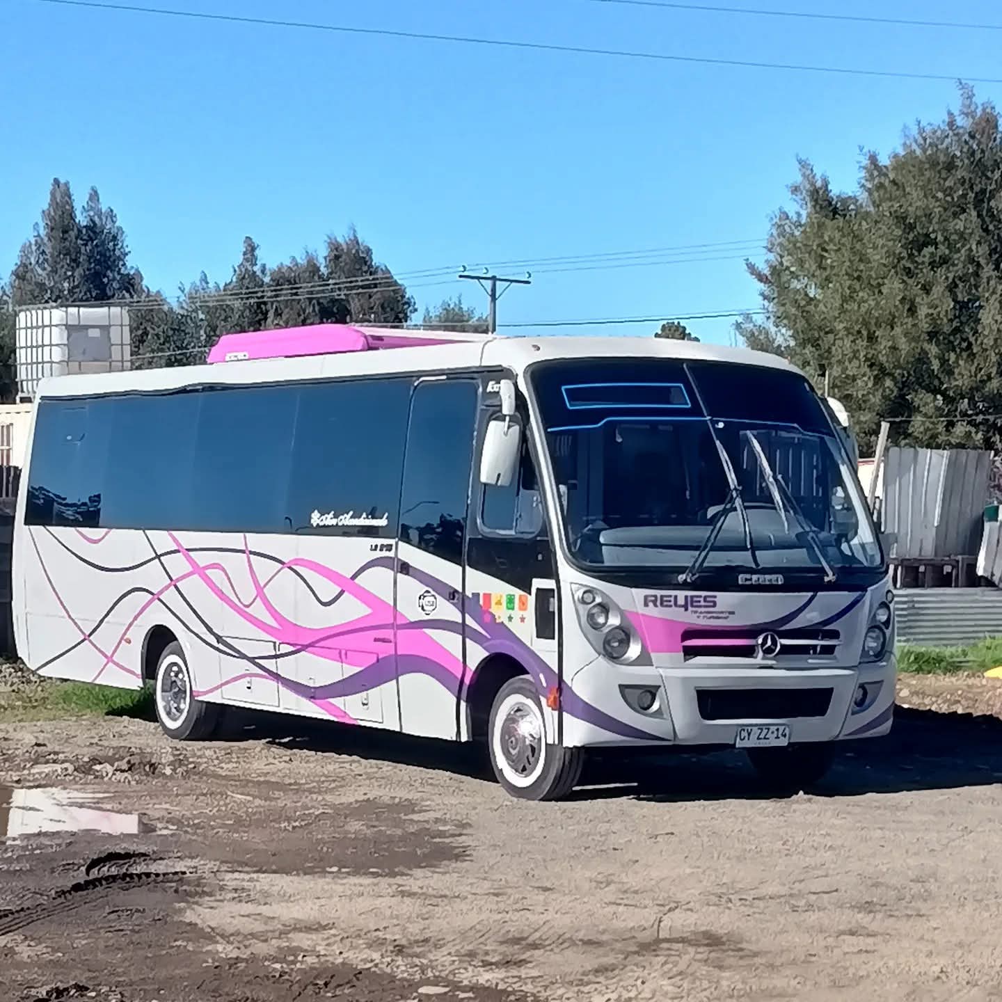 Furgón Mercedes-Benz Reyes